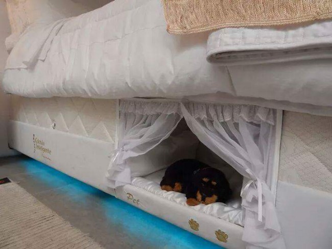 łóżeczko dla psa