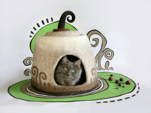 nietypowe domki dla kotów