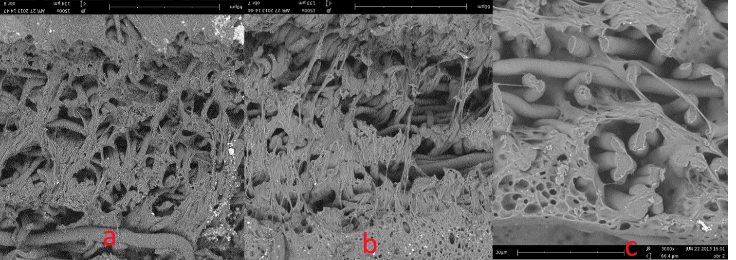 Fig. 2. The microphotographs of structure of membrane materials such as "synthetic leathers": a - on the basis of PEU TM-0533-90 (image magnification 1500x) c, d - on the basis of PEU TM-1413-85 (image magnification 1500x, and 5000x, respectively). Composition of the precipitation bath - 30% solution of DMFA in water. The temperature of phase separation – 20 °С, the drying temperature – 100 °С.